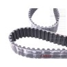 Iveco Daily Timing Belt