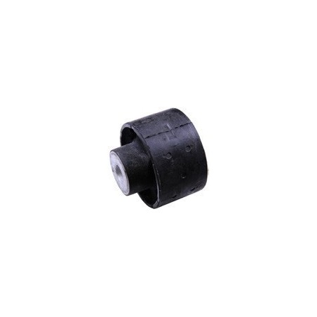 BMW M5 99-04 Rear Subframe Bush