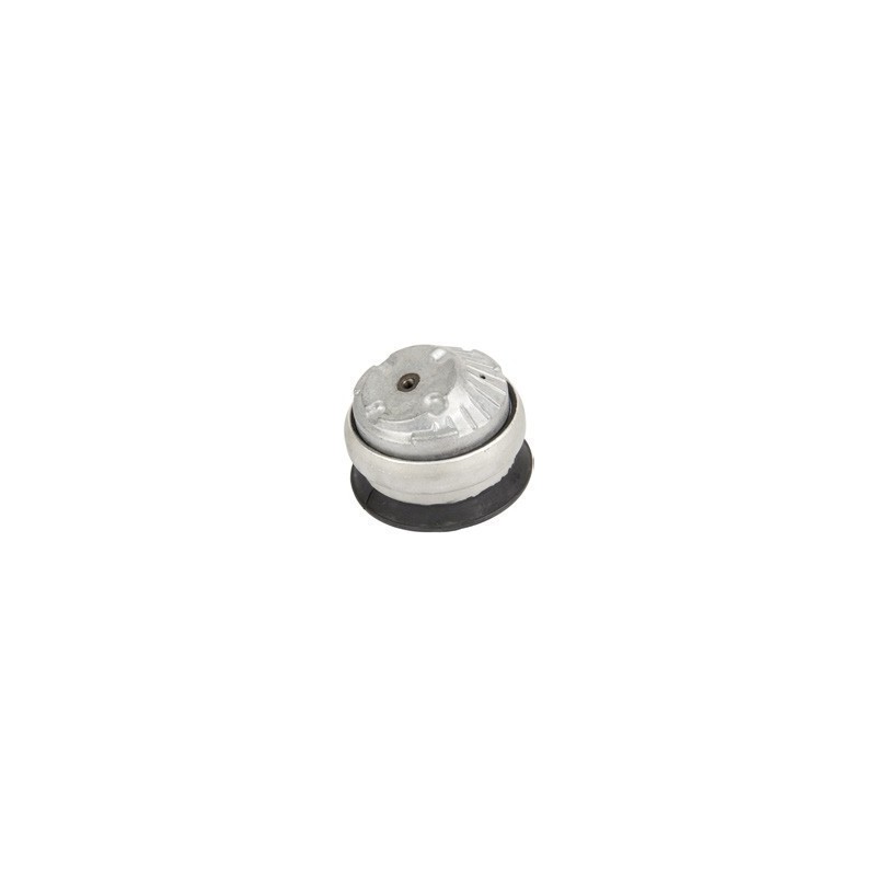 Mercedes Benz C180K 94-07 Left Engine Mounting