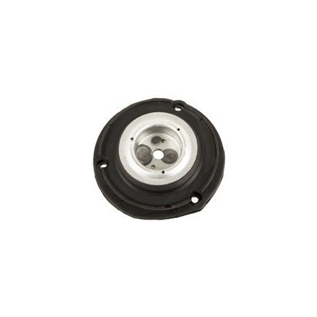 Peugeot 406 99-04 Front Strut Mounting