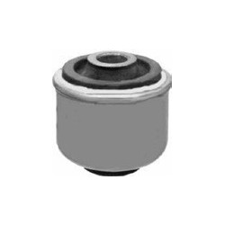 Renault Megan 96-02 Front Inner/Rear Lower Control Arm Bush