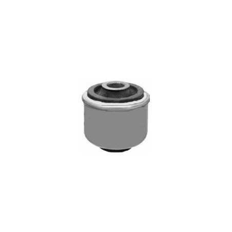 Renault Megan 96-02 Front Inner/Rear Lower Control Arm Bush
