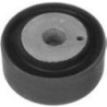 Mercedes Benz C320 00-08 Rear X Member Diff Bush