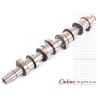 AUDI A3 II 1.9 TDi 08-12 BKC BLS BXE 8V 77KW CAMSHAFT