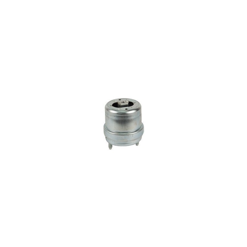 Volkswagen Kombi 99-04 Right Engine Mounting