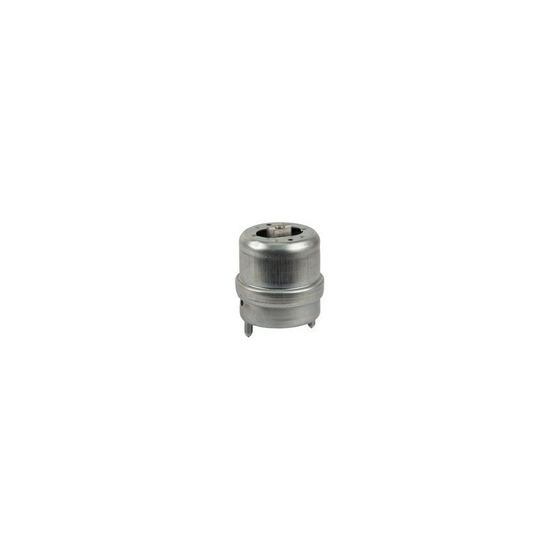 Volkswagen Kombi 99-04 Right Engine Mounting