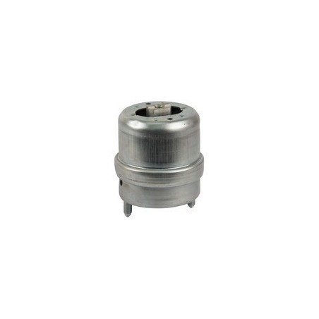 Volkswagen Kombi 99-04 Right Engine Mounting