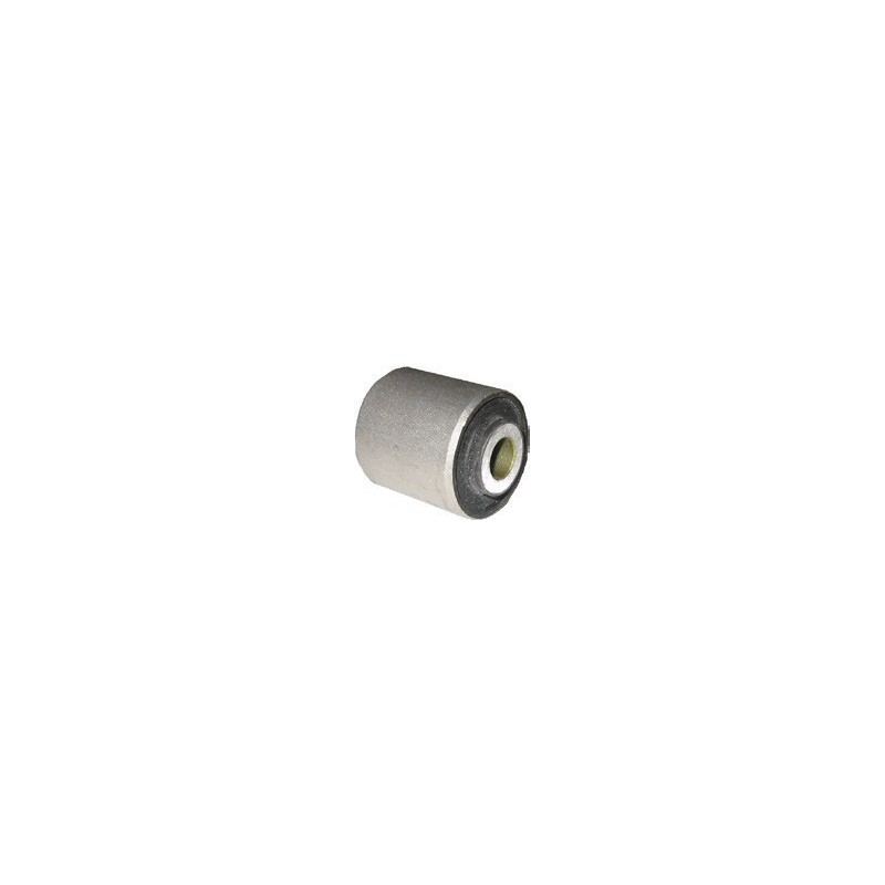 Audi A4 95-01 Front Outer Lower Control Arm Bush