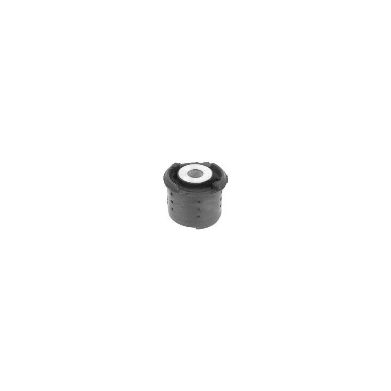 BMW 318i 99-05 Rear Axle Carrier Bush