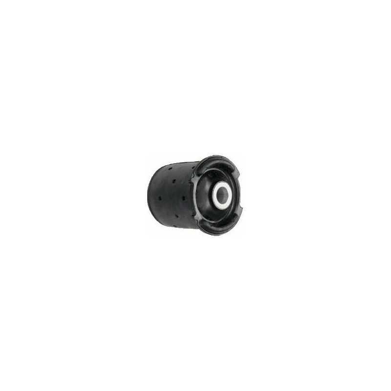 BMW 320i 92-99 Rear Axle Carrier Bush