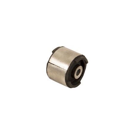 BMW 323i 01-05 Rear Trailing Arm Bush