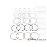 CHERY TIGGO 1.6 16V 2009- SQR481F 80KW COMPLETE RING SET
