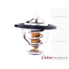 CHERY TIGGO 1.6 16V 2009- SQR481F 80KW Thermostat