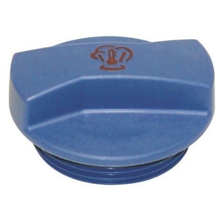 VW Golf Jetta IV 9N Expansion Tank Cap