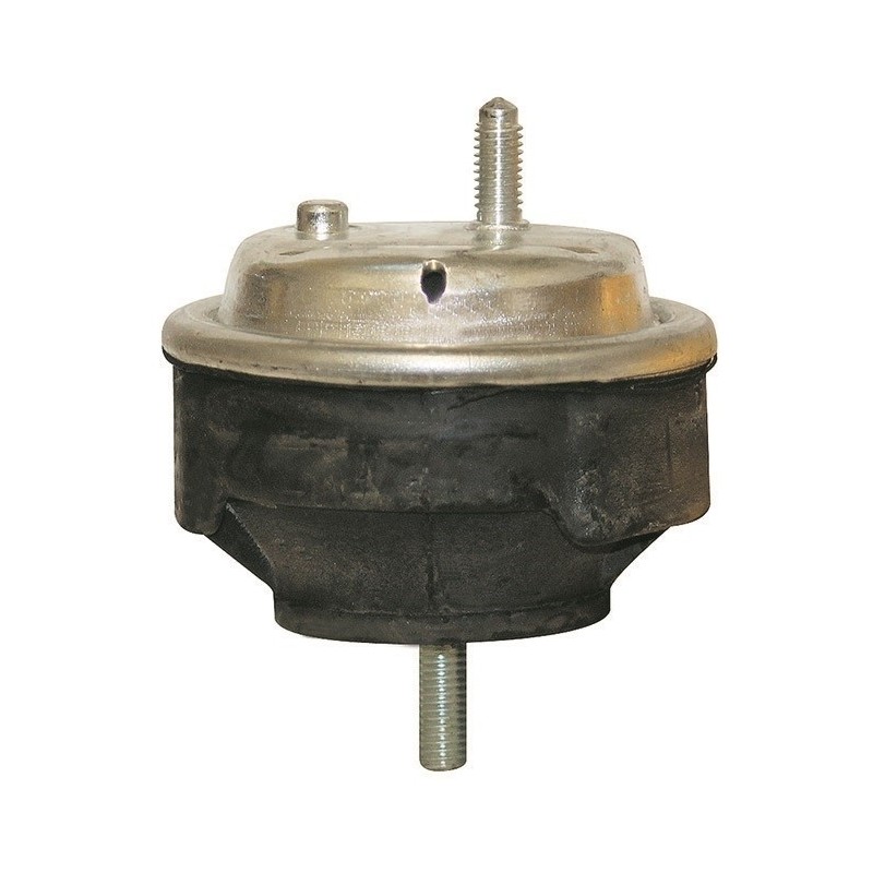 BMW E46 N42 N46 M43 M47 M54 M57 L&R Engine Mounting