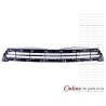 VW Scirocco 2.0 TSI R Main Grill 2014