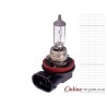 H8 Headlamp Headlight Halogen Globe 12V 35W GL12360 PGJ19-1