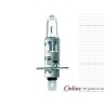 H1 Headlamp Headlight Halogen Globe 12V 55W GL12258 P14,5s