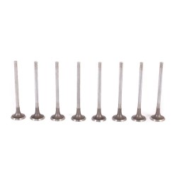 Chery Tiggo 1.6 16V 2009- SQR481F 80KW Exhaust Valve