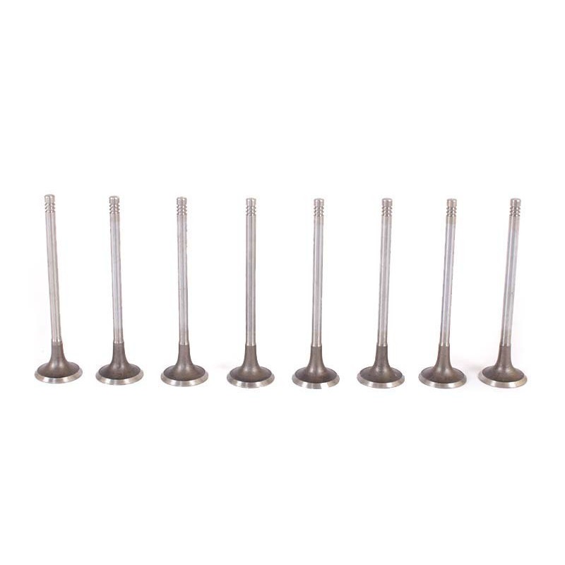Chery Tiggo 1.6 16V 2009- SQR481F 80KW Exhaust Valve