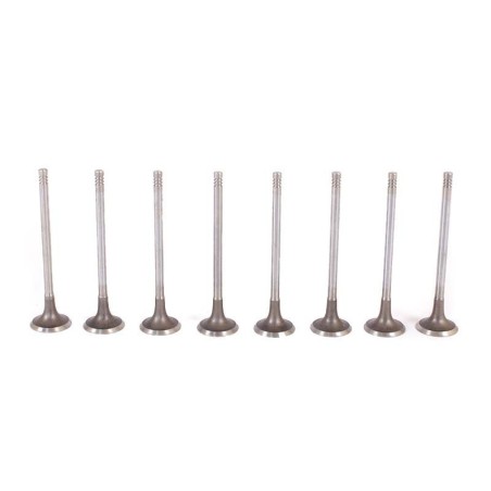 Chery Tiggo 1.6 16V 2009- SQR481F 80KW Exhaust Valve