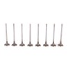 Chery Tiggo 1.6 16V 2009- SQR481F 80KW Exhaust Valve