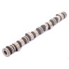 Nissan 1 TON 2.4 Hardbody 95-99 Z24 Camshaft