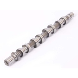 Renault Duster 1.6 2012- K4M 616 HSAT HS 16V 75KW Exhaust Camshaft