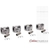 VW Golf V 2.0 FSI 2004- Piston With Rings