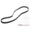 Citroen C2 1.4 HDI 8HX DV4TD 8V 04-10 V-Belt