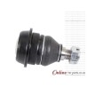 Hyundai H100 2.5D 2.5TD 2.6 D 1997- Left And Right Side Lower Ball Joint
