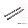 Citroen C3 1.4 HDI 8HX DV4TD 8V 03-09 Rear Shock
