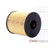 Citroen C3 1.4 1.6 2002- Oil Filter