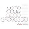 Audi A3 1.8 TFSI BYT BZB CDAA 20V 08-12 Piston Rings
