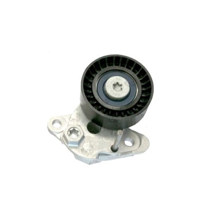 Audi A3 1.2 1.4 TSi TFSI Tensioner V-Belt