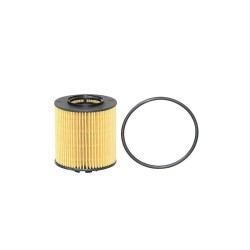 VW Vivo 6R 1.4 1.6 Tiguan Touran 1.4 TSi TFSI Filter Oil