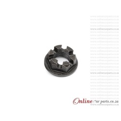 VW Old Beetle Nut