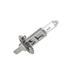 H1 Headlamp Headlight Halogen Globe 12V 55W GL12258 P14,5s