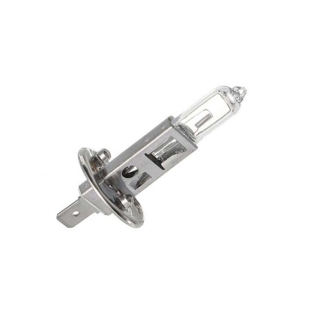 H1 Headlamp Headlight Halogen Globe 12V 55W GL12258 P14,5s