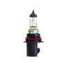 HB5 Headlamp Headlight Halogen Globe 12V 60/55W GL9007 PX29T