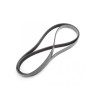 Audi V-Belt Ribbed