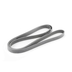 BMW Opel Nissan V-Belt Ribbed