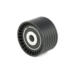 Renault Clio II III Megane Scenic I II III 1.4 1.6 Timing Belt Tensioner Roller 