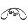 Renault Clio Laguna III Scenic Megane II III All 1.6 Timing Belt Tensioner Kit