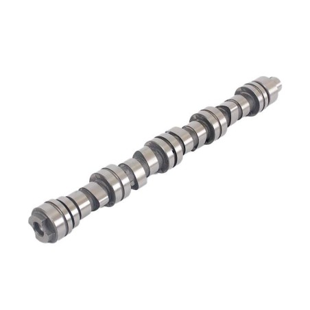 Ford Meteor 1.6 CVH-LUC 89-91 Camshaft
