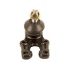 CMC Sesbuyile 2.4i 4RB2 2009- Lower Ball Joint