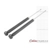 Mazda 2 1.3 ZJ-VE 1.5 MZR 16V 07- Rear Shock