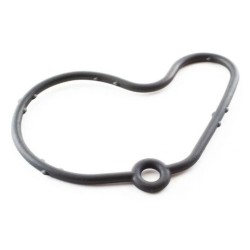 VW Golf IV 1.9 TDi 99-04 Vacuum Pump Gasket
