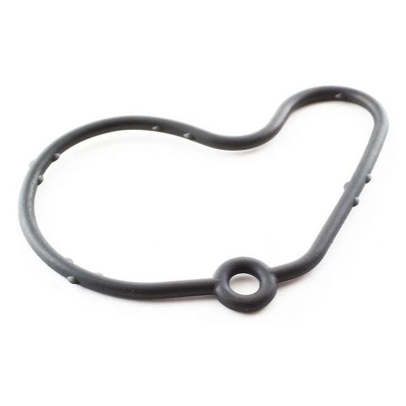 VW Jetta IV 1.9 TDi Vacuum Pump Gasket