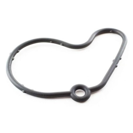 VW Jetta IV 1.9 TDi Vacuum Pump Gasket